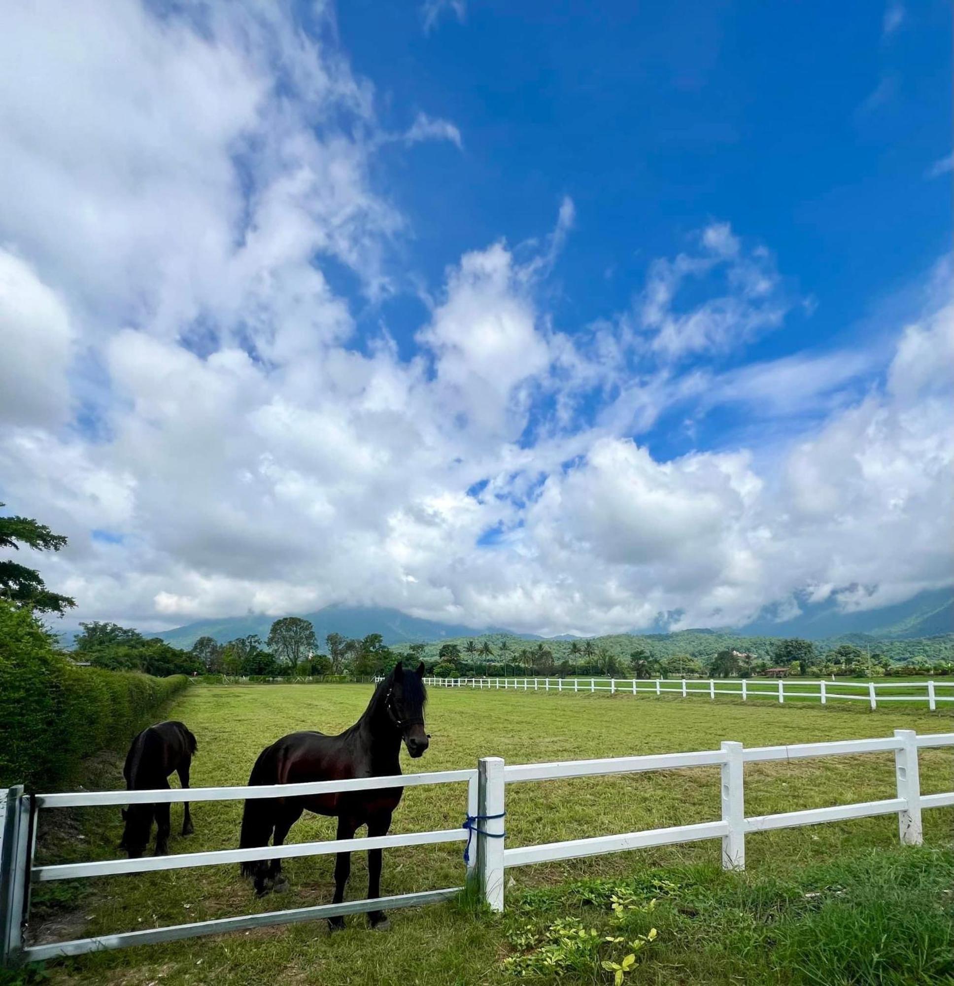 The Wes Village, Incl Free Breakfast & 100 Thb Food Gift Chiang Dao Exteriér fotografie